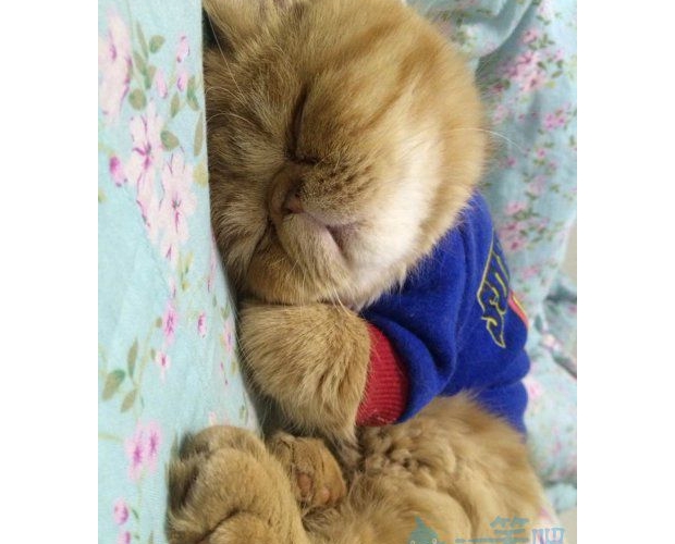 ���ϳ����·���˯�X����һ��