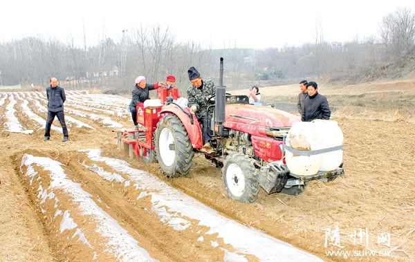 �����(zh��n)�׺Ӟ���Lԇ�R���Cе���N