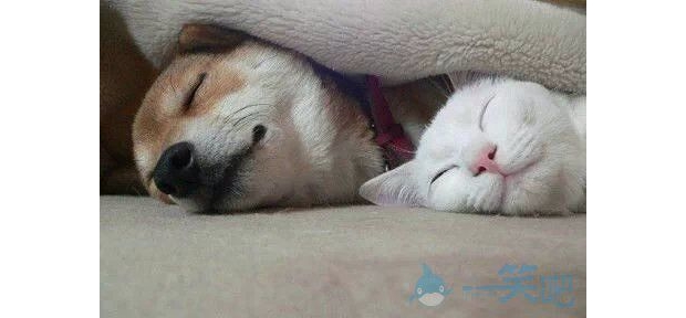 �H�۵��������ˆ���