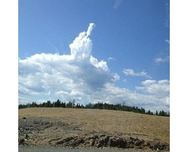 ���ϵ۱�ҕ��