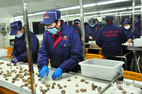 �S�hԣ���㹽�Ƽ��a(ch��n)�I(y��)�@һ�ڸ��㹽���a(ch��n)��ˮ����ʽͶ�a(ch��n)