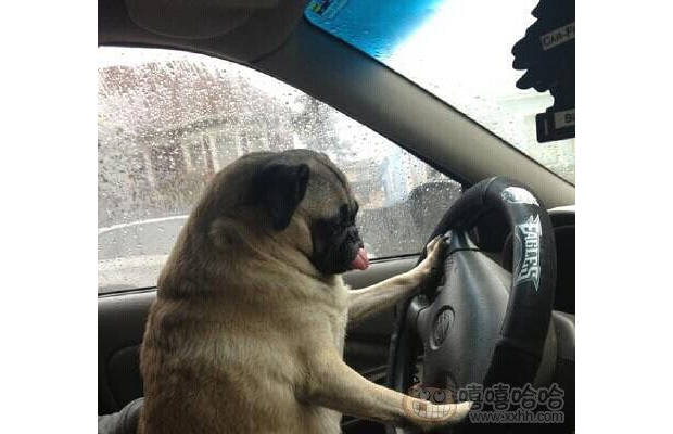 ��һ���_��Ո���ָ��