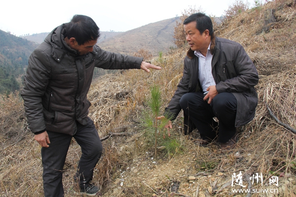 �С��h�ɼ��ϴٕ����ͷ��c(di��n)�S�h�h(hu��n)̶�(zh��n)�{(di��o)���Ŀ�l(f��)չ��r