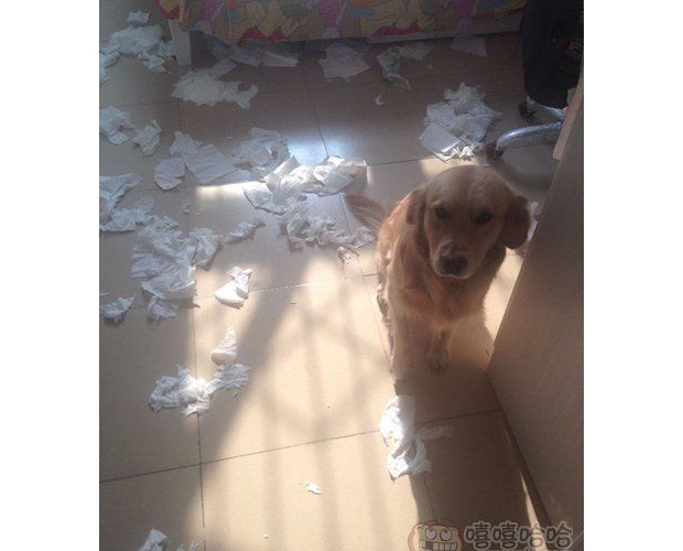 �����㄂���҂����l(w��i)�����ͺ�