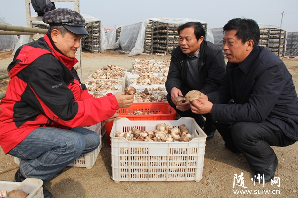 ���������r(n��ng)�I(y��)��˾3�f���㹽ϲ�@�S��