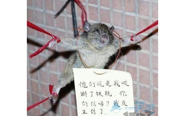 ���R��ʬ�Ĺ�(ji��)��