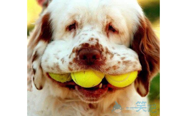 �������´β�Ҫһ��3���ˣ�