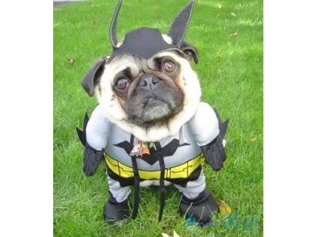 ��������������������