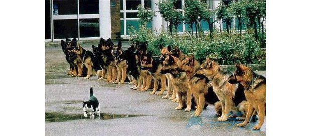 ���L��ҕ��