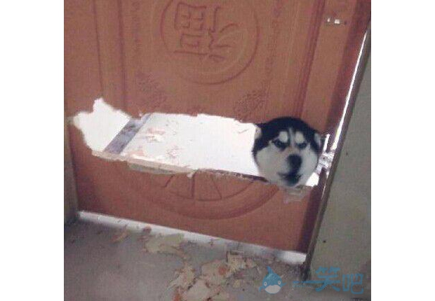 �l�Ҳ�������