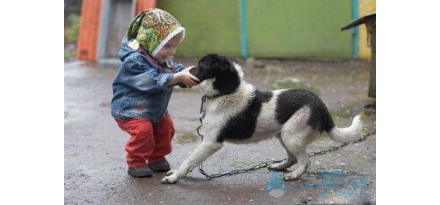 С����đ�Ӵ�