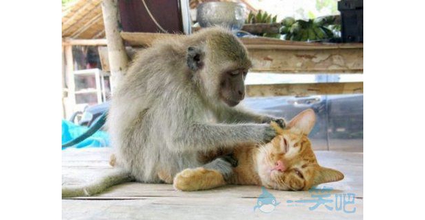 ��ô���C��һ��