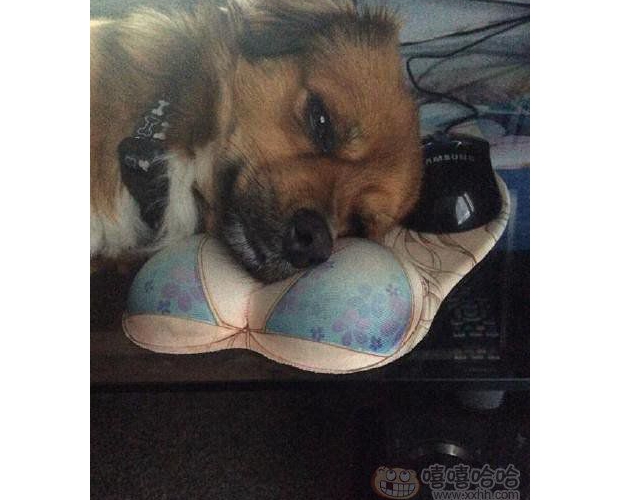 �����㉙����������