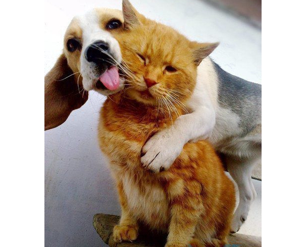 ��������Ҫ������