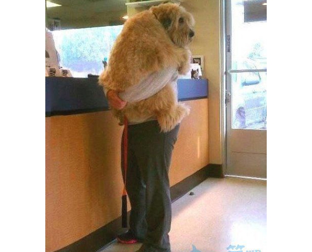 ���鱧�o���������c����