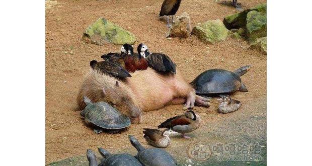 ˮ����������������ů��