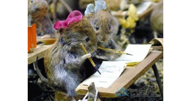 �ۣ��㮋�ı��Ү��ĺö�����