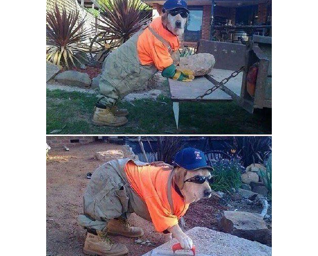 �����R�����^���æ��