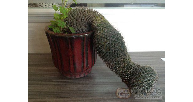 �k��������һ�ӵ���������