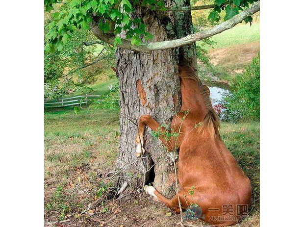 ������һ���]�xס��