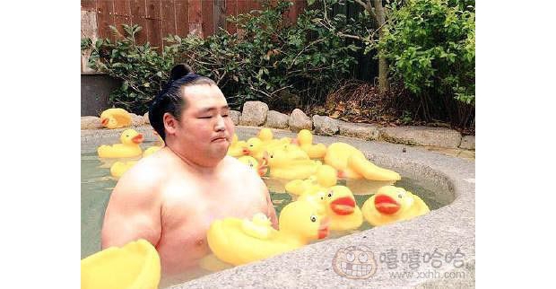 ÿ���w�;޴����������(n��i)����̎����һֻС�S��