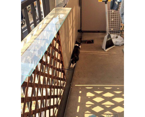 �P��������ǡ��P�ۡ�����