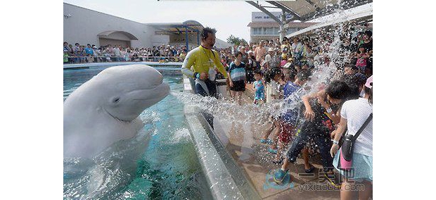 �Ų�����һ���}ˮ������