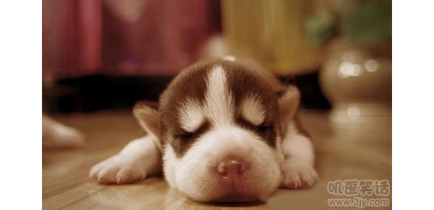 ���@��������˯һ�X