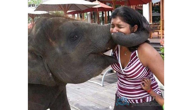 �@һ����ȥ�����˰�߅Ę����