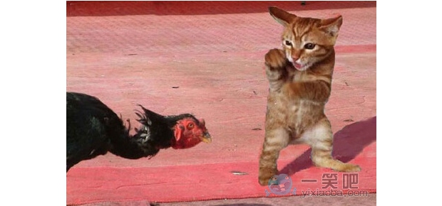 �зN�^����