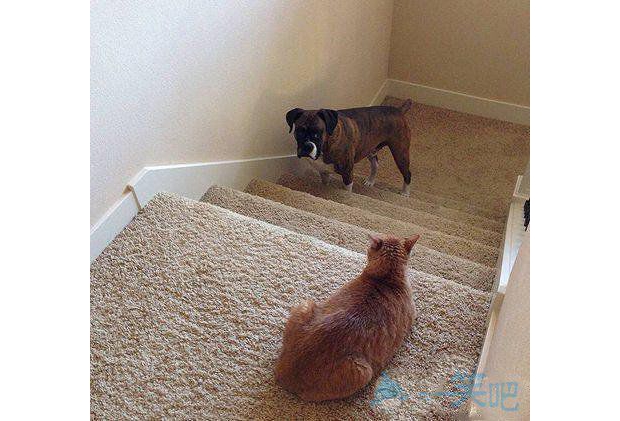 ��Ҫ�^��·�������I·�X