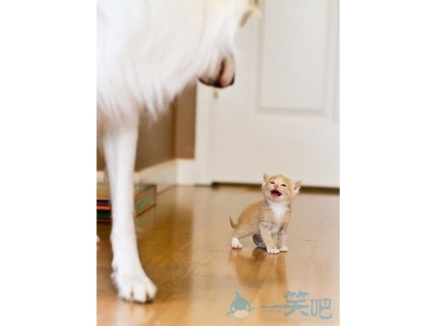 �����£�żֻ��·�^��·�^