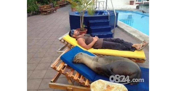 ��ˮ������ˬ����