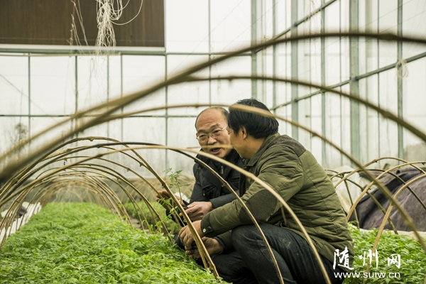 ʡ�^(q��)���������Ƽ����Ҵ�Ժ�����������g���^ָ��(d��o)�r(n��ng)�I(y��)���a(ch��n)