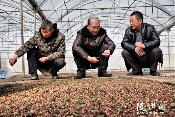 �����^(q��)�r(n��ng)�I(y��)�֌���ָ��(d��o)����ؿغ����