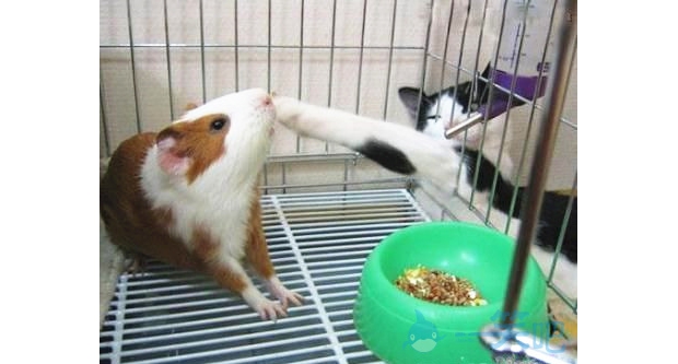 �e�Ԟ��\����Ͱ�ȫ��