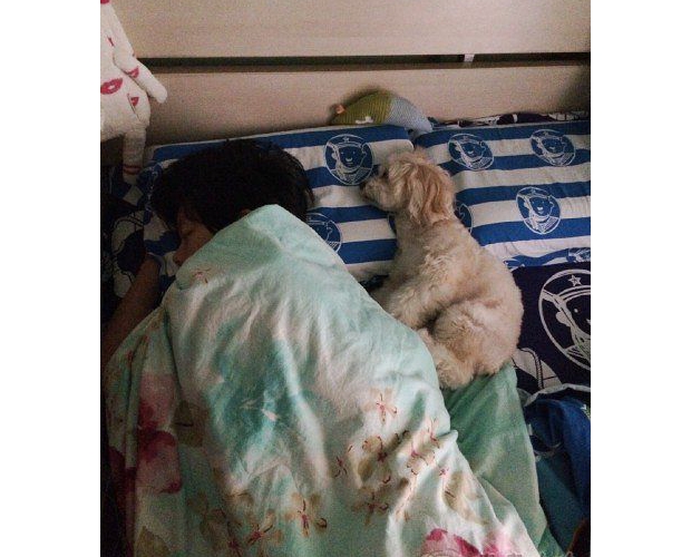 �f�����H�����l(shu��)����ÿ������