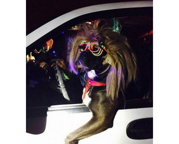 �Ҳ��Ǯ�(d��ng)�ʲ�׌��ҹ����