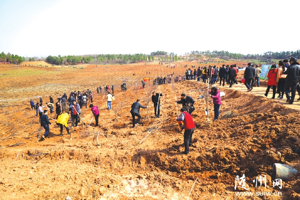 �S�h�G��ί�T���M���h���Ĵ�ҡ��I(l��ng)��(d��o)���hֱ�ɲ���ֲ������