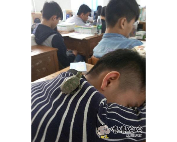 �R�ϵ��K�c�����ֵ�����˯һ