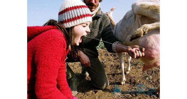 �����r��ţ��