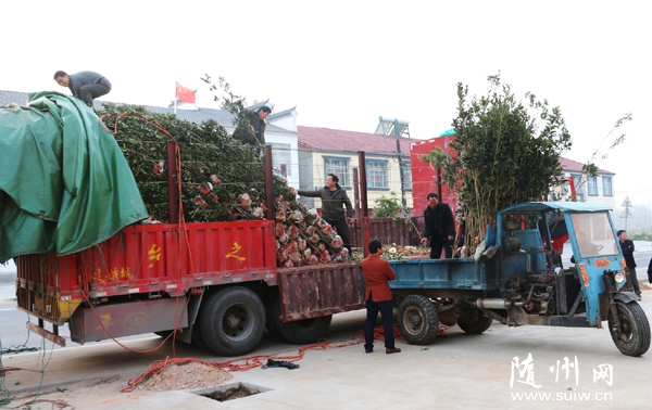 ��ɽ�(zh��n)�e�O푑�(y��ng)���G�M�S�h���Є�