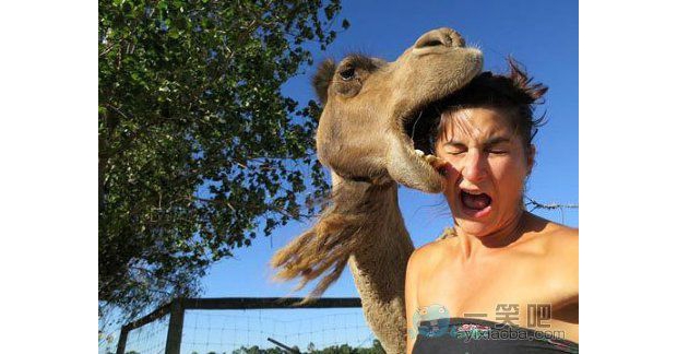 ����������Ѕ���