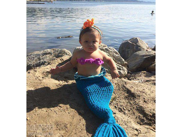 �l(f��)�F(xi��n)С���~һֻ