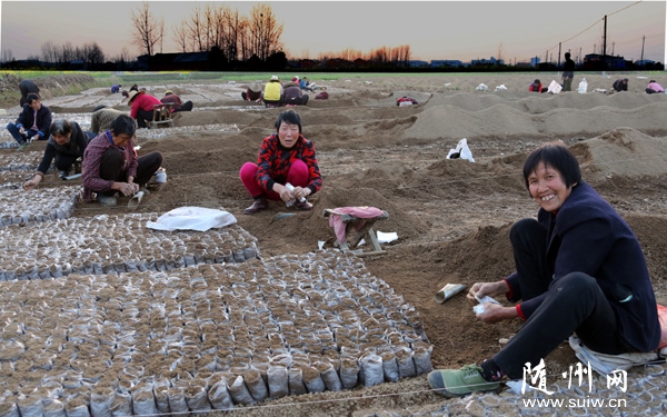 �S�h�����(zh��n)����ֈ�(ch��ng)���M���r(n��ng)���b�ɘ������