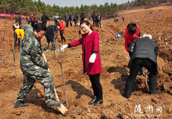 �S�h��ɽ�(zh��n)�����M���C(j��)�P(gu��n)�ɲ��x��(w��)ֲ��G������