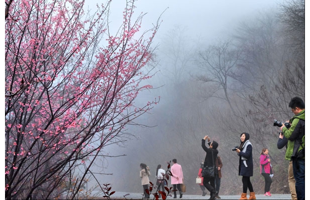 ���ɽ10�f��Ұ�ѻ�����ʢ�_���γɡ��ѻ�ѩ�������^