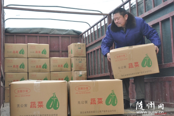 �S�h�����(zh��n)���Ҟ����߲˷Nֲ�����b���{(di��o)�\(y��n)���r�߲�