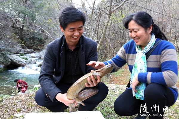 �S�ݴ��ɽ�h(yu��n)ͨ���F�B(y��ng)ֳ���޹�˾�e�O�_չ�����~�طN�B(y��ng)ֳ���о����ƏV