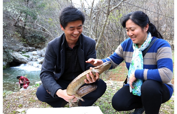 �S�ݴ��ɽ�h(yu��n)ͨ���F�B(y��ng)ֳ���޹�˾�e�O�_չ�����~�طN�B(y��ng)ֳ���о����ƏV